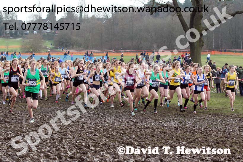 Start of the of the under-15 girls Inter Counties Cross Country, Cofton Park, Birmingham. Photo: David T. Hewitson/Sports for All Pics